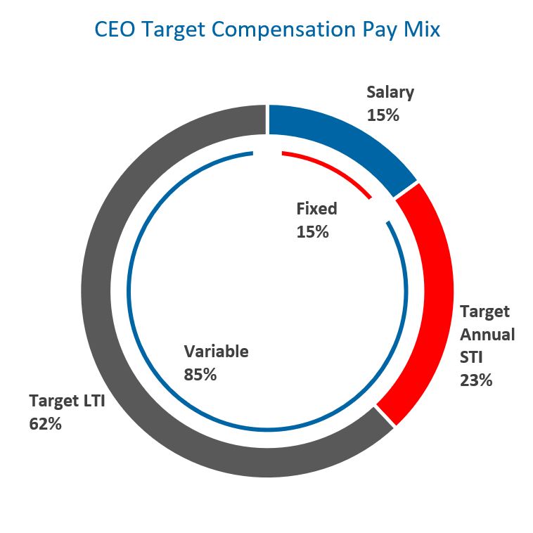 CEO Target Compensation Pay Mix JPG.jpg