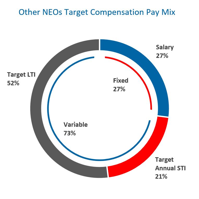 Other NEO Target Compensation Pay Mix JPG.jpg